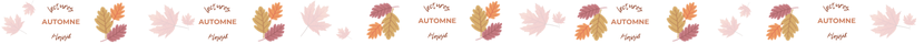 Design_sans_titre1.png